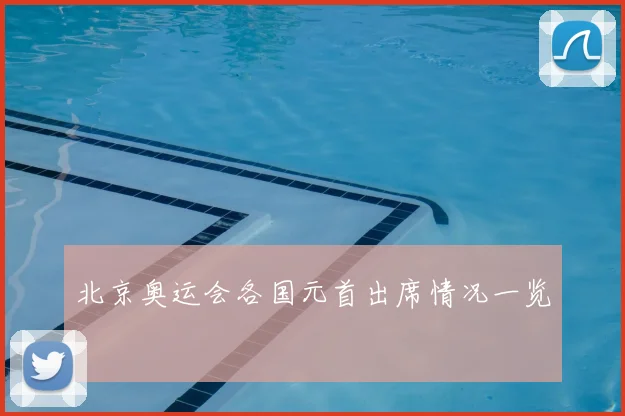 北京奥运会各国元首出席情况一览