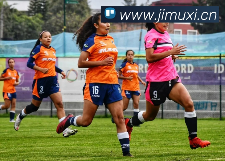 投注app官网发展历程